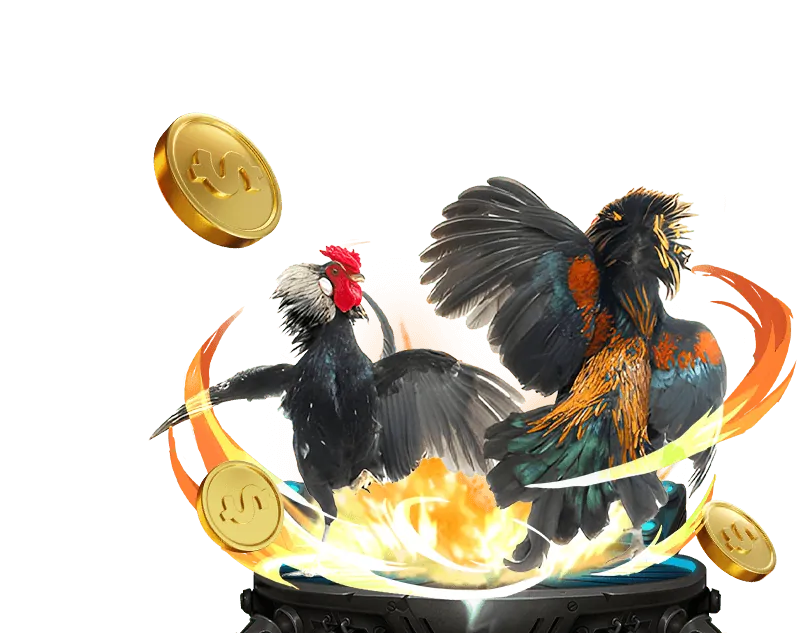 Ưu đãi hấp dẫn